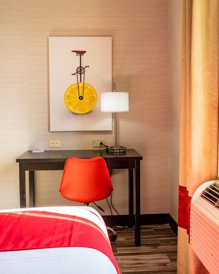 Chambre Lit Queen-size - Accessible aux Personnes à Mobilité Réduite